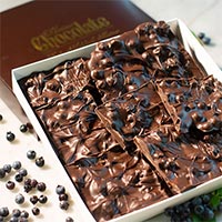 blueberry bark